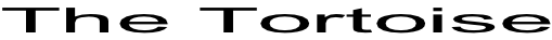 The Tortoise